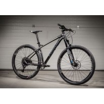 Велосипед гірський 29" HEAD X-RUBI V 2020